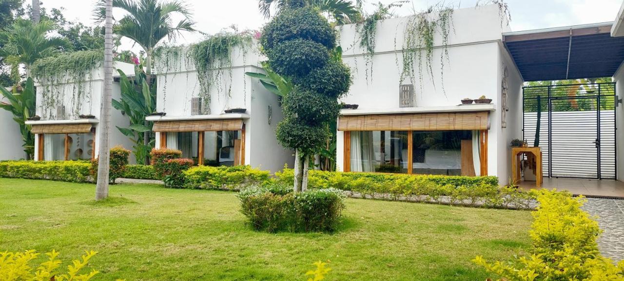 The Edicha Bed & Breakfast โลวินา ภายนอก รูปภาพ